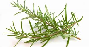 Rosemary Bath Oil
